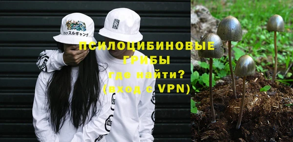 spice Алзамай