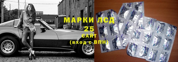 spice Алзамай
