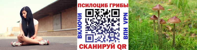 магазин продажи наркотиков  Поронайск  Псилоцибиновые грибы Cubensis 